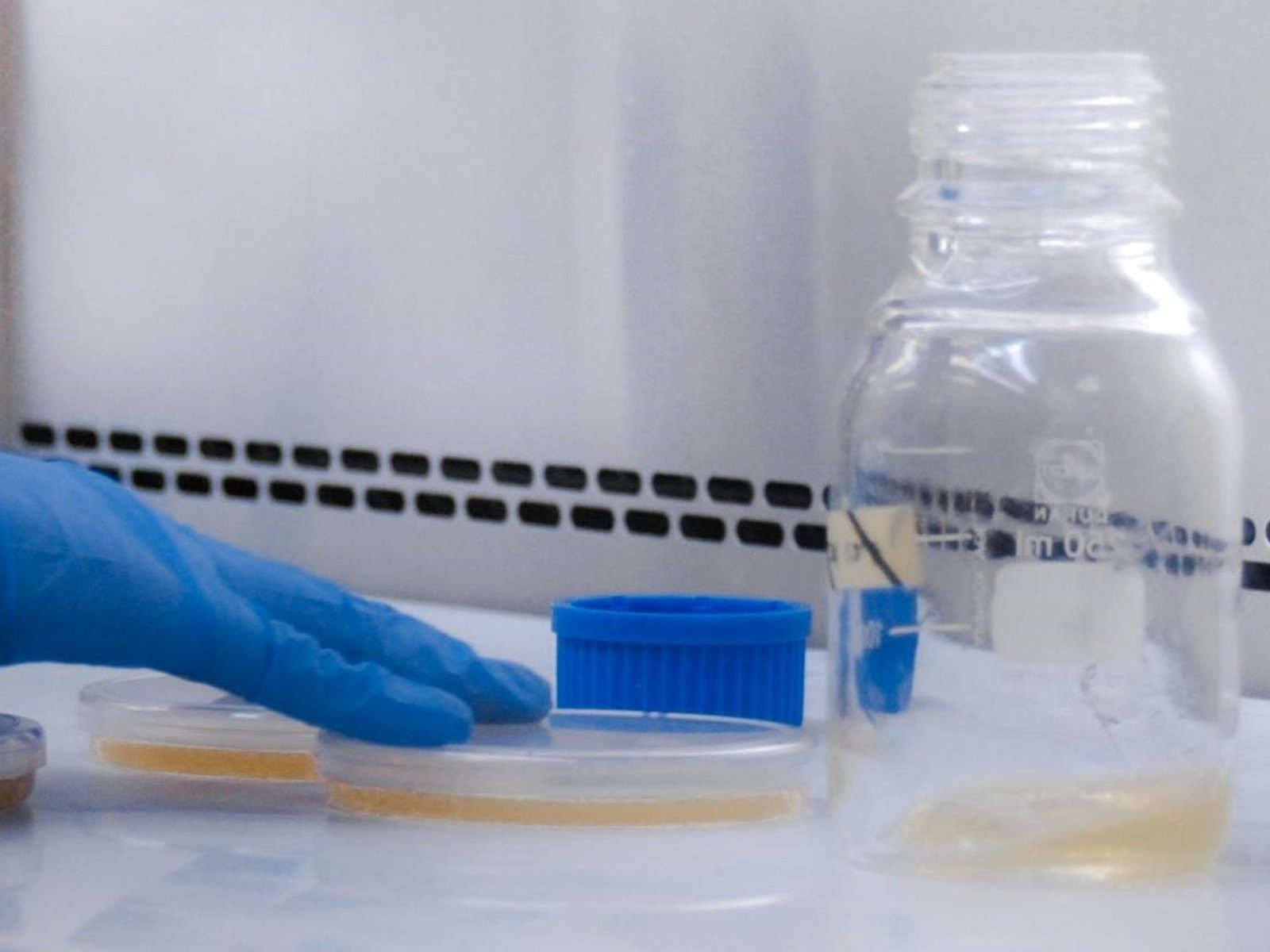 Clausuran el cuarto laboratorio farmacéutico en 20 días y retiran del mercado una droga contra la leucemia