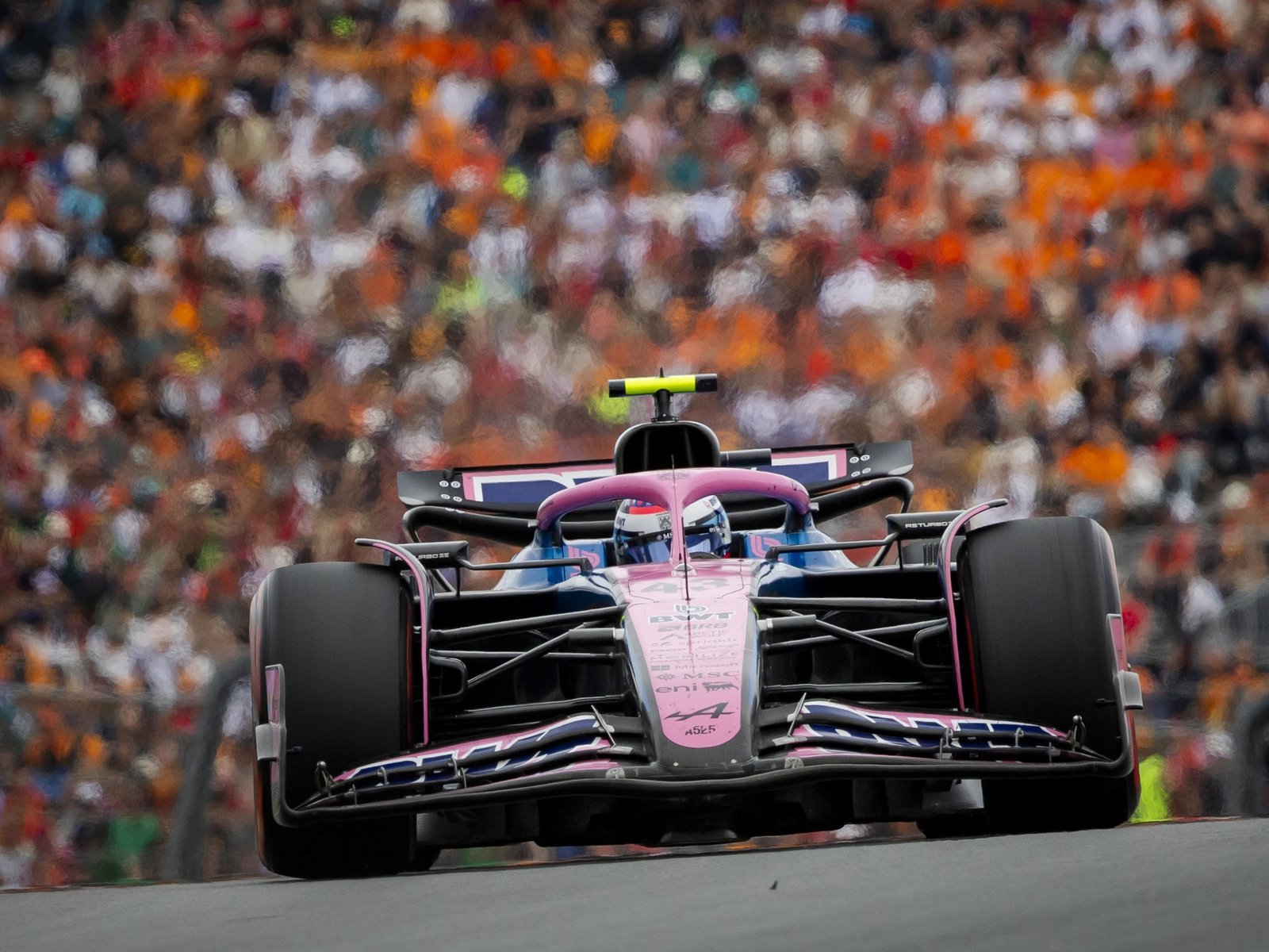 Cómo salió Colapinto en el GP de Países Bajos y cuándo vuelve a correr en F1