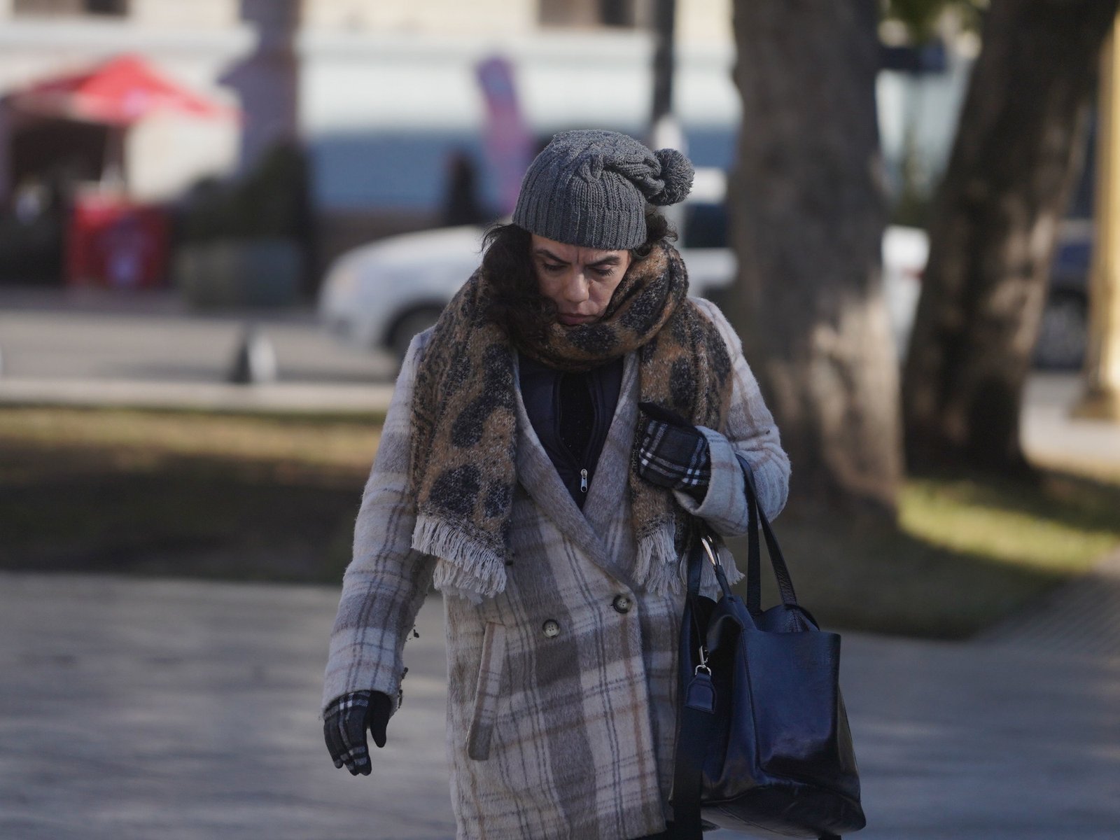 El extraño fenómeno climático que impide que la primavera llegue al AMBA: cómo es y por qué ocurre