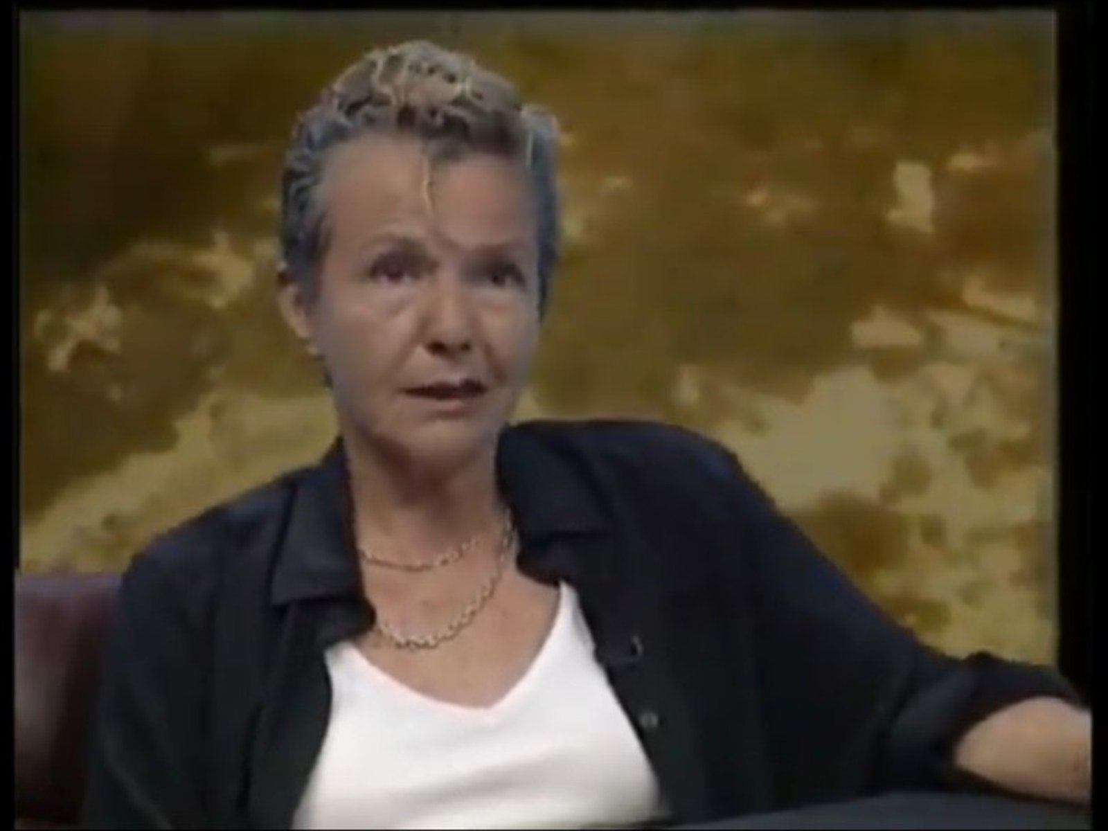 Los aspirantes a heredar a Beatriz Sarlo buscan ponerse de acuerdo