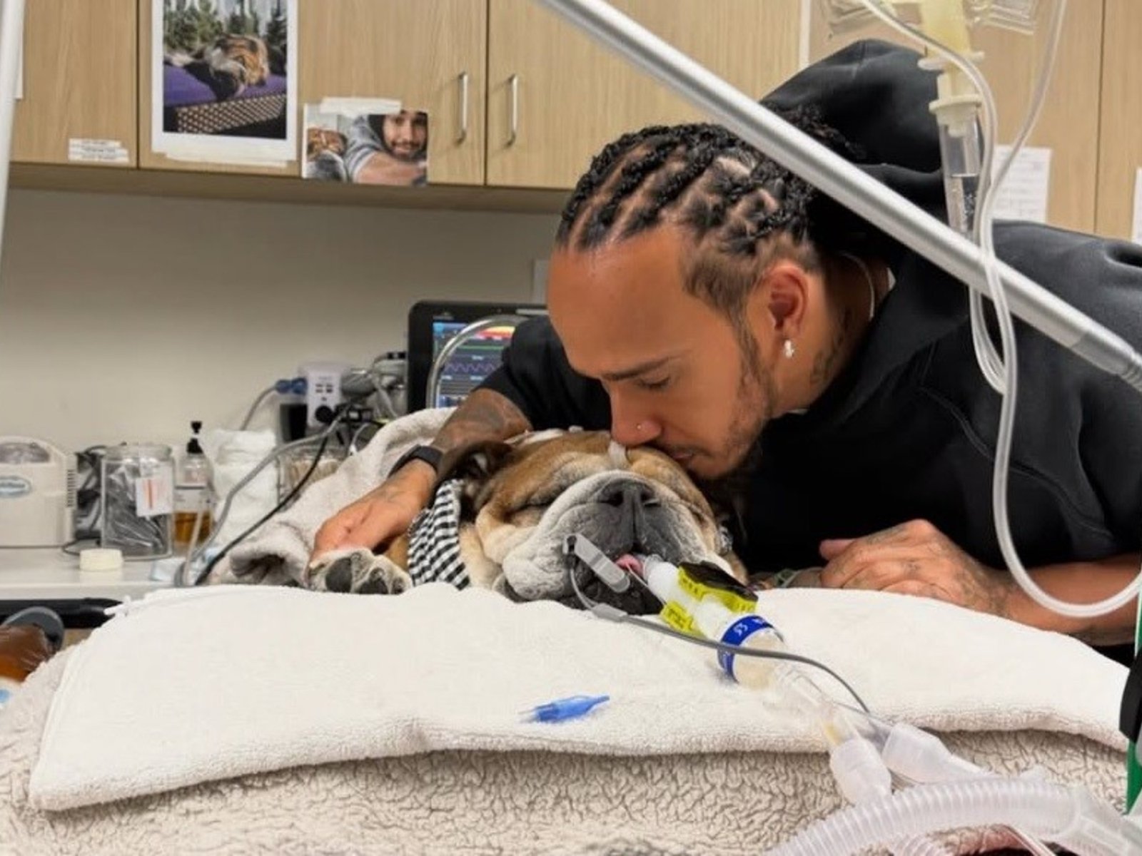 Murió Roscoe y un consternado Lewis Hamilton lo despidió con un conmovedor mensaje en sus redes sociales