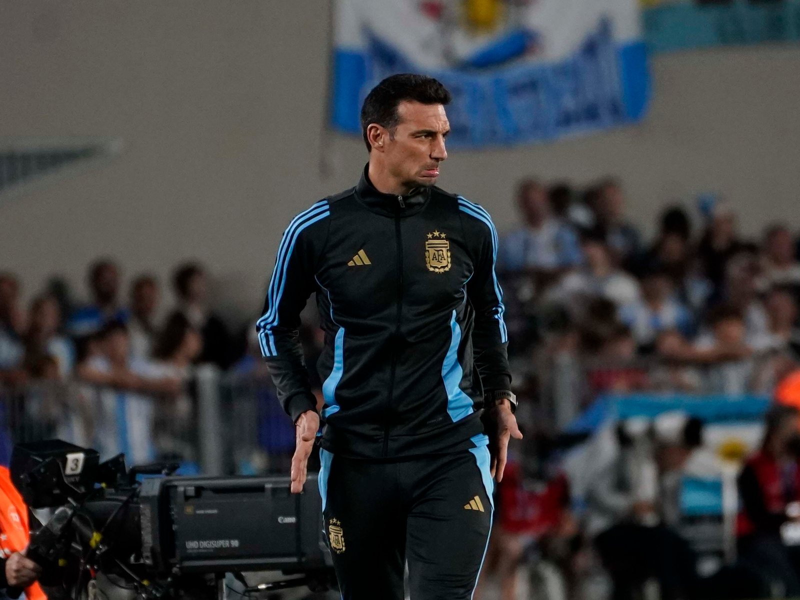 Scaloni, sobre la Finalissima contra España: “Prefiero no jugarla en marzo” :: Olé