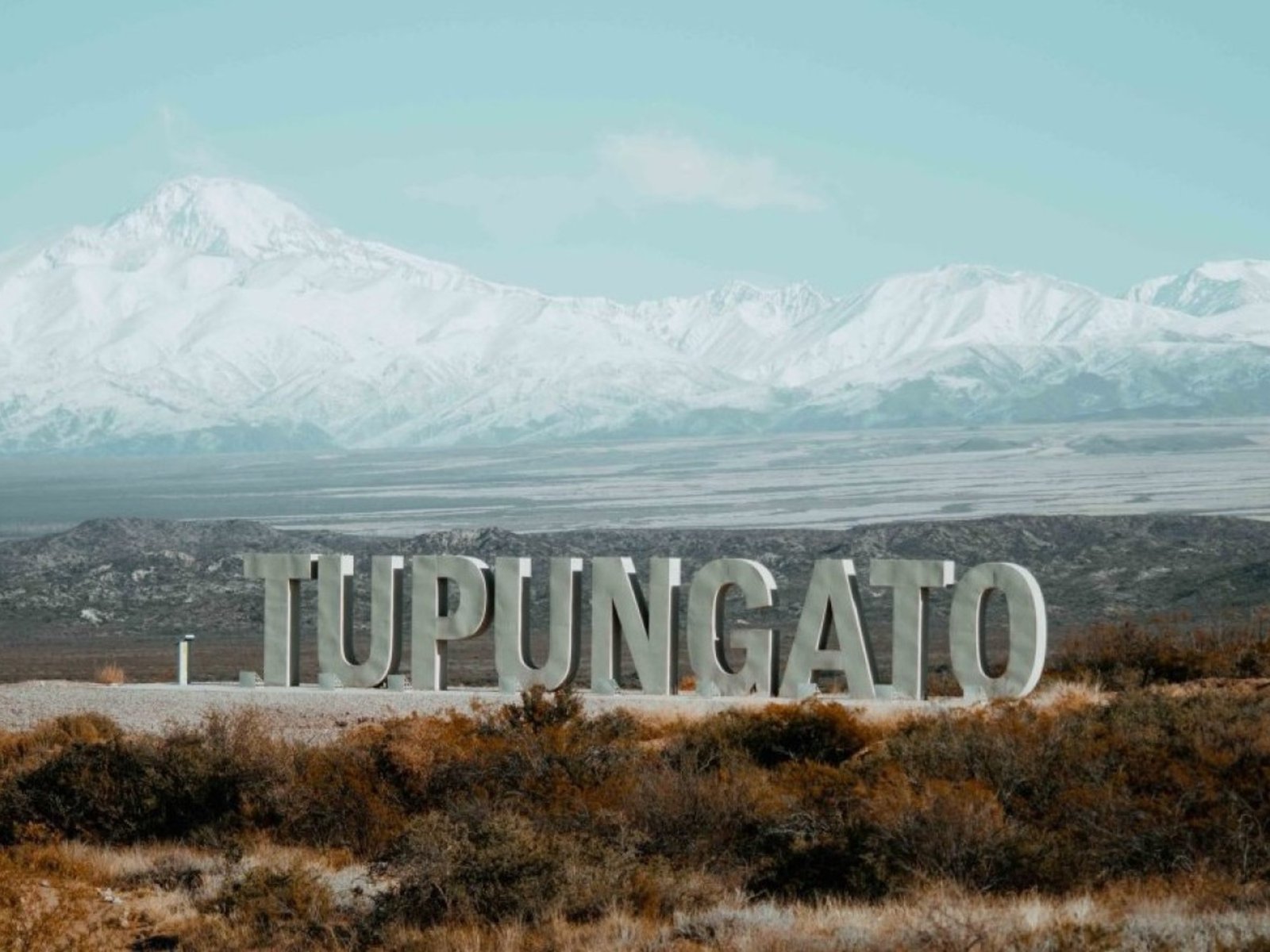 Un video grabado por su nieta, una ONG de Estados Unidos y las peores horas de una docente de Mendoza