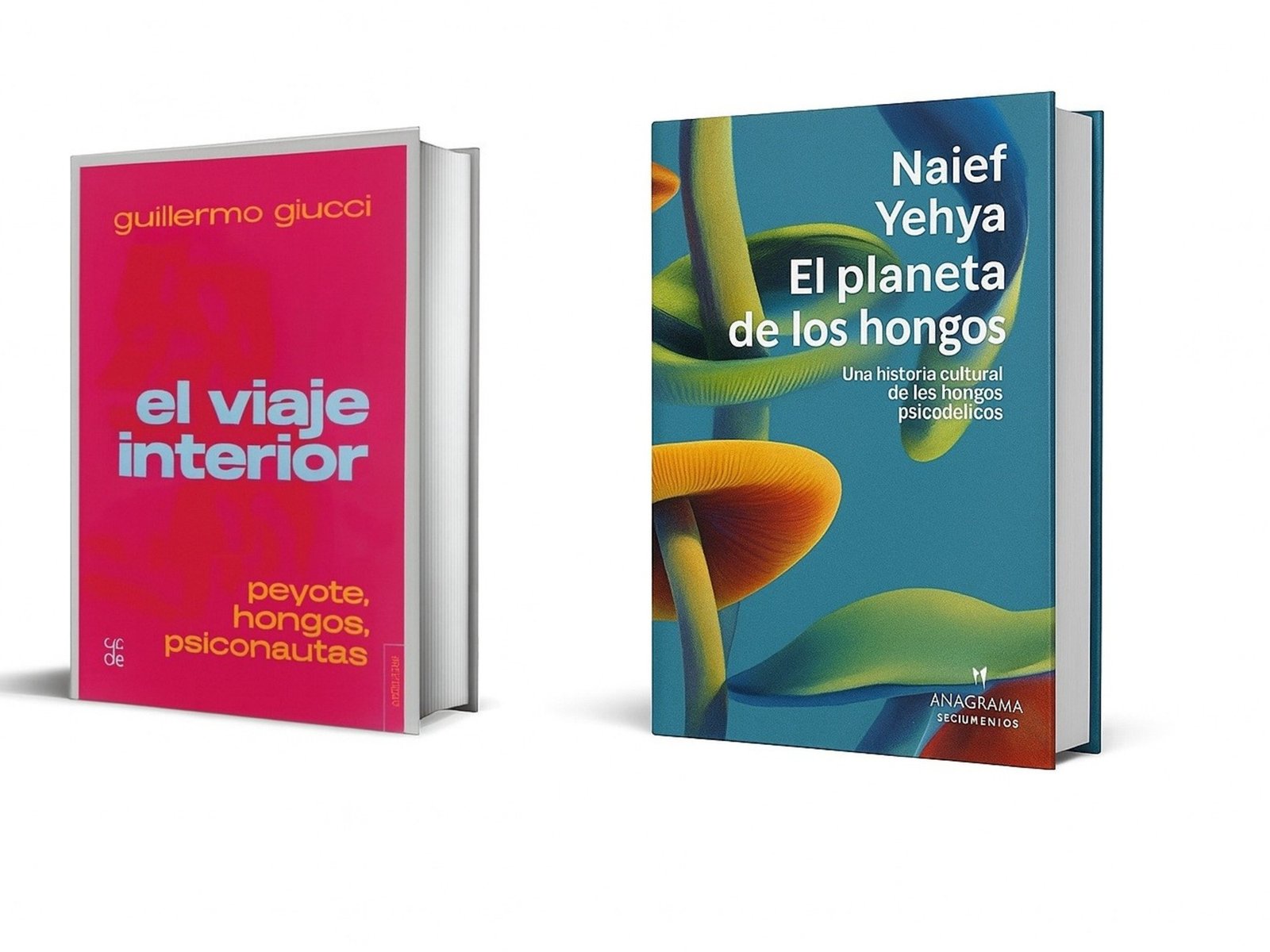 dos libros clave para entender la nueva ola