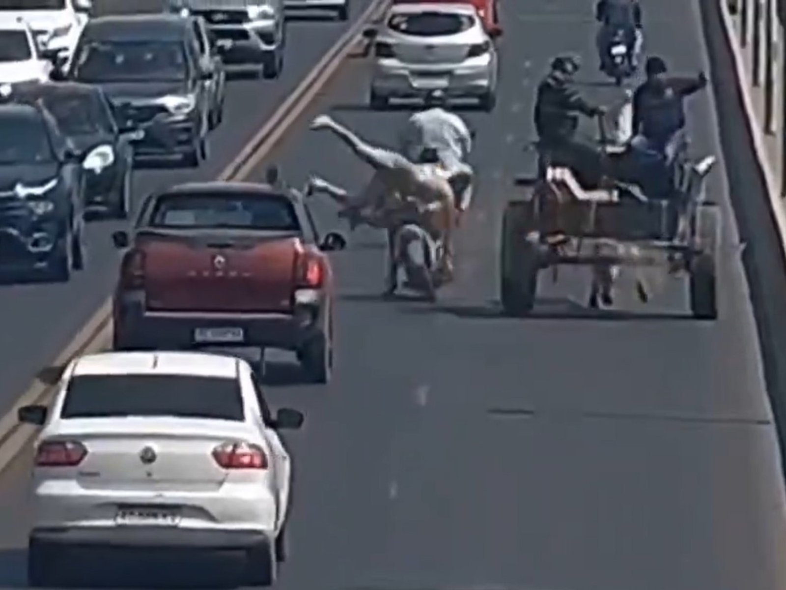 iban tres en una moto, chocaron un carro tirado por un caballo, cayeron abajo de un auto y se salvaron