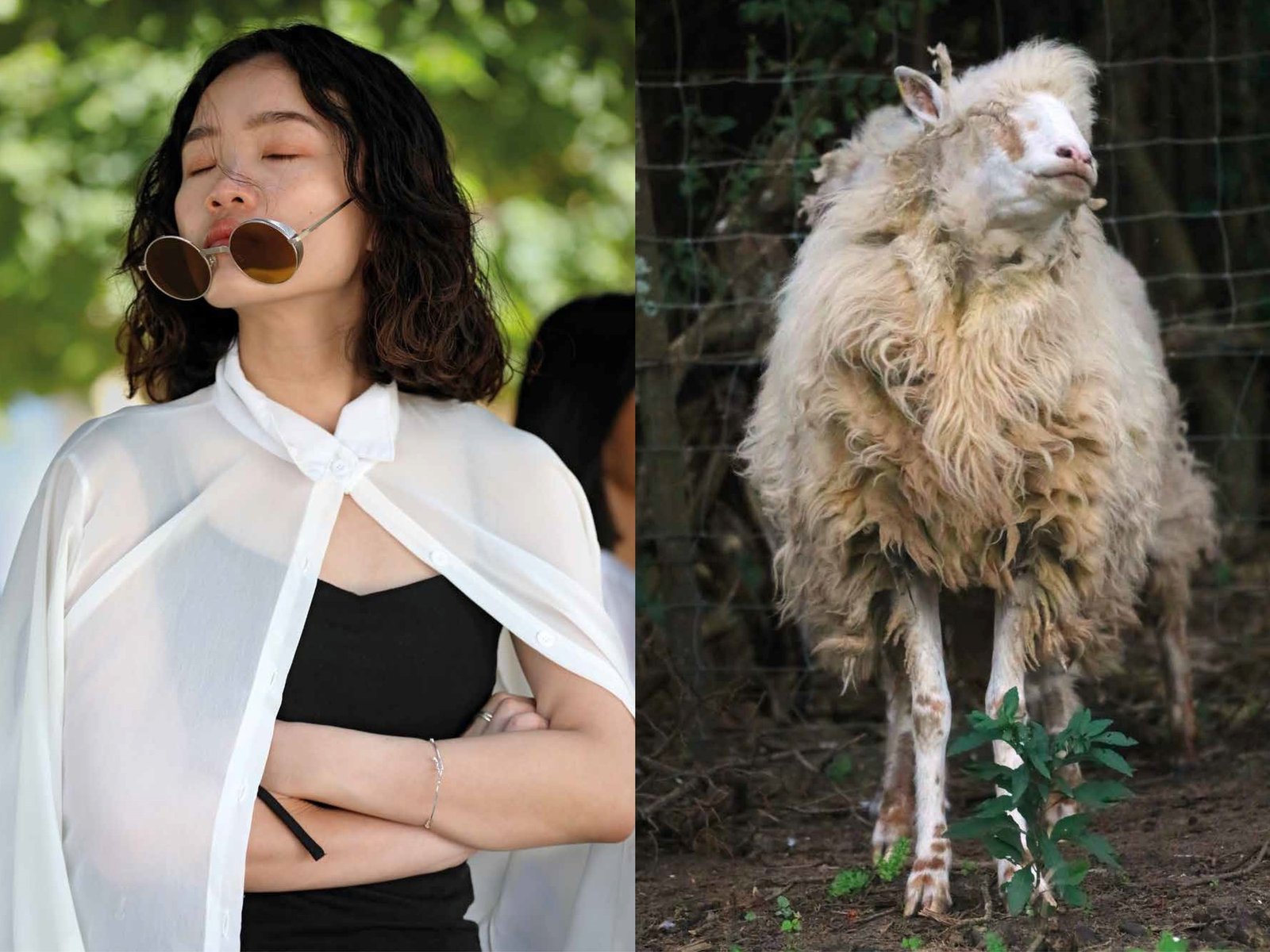 las sorprendentes duplas visuales de Avistaje, de Clara de Estrada