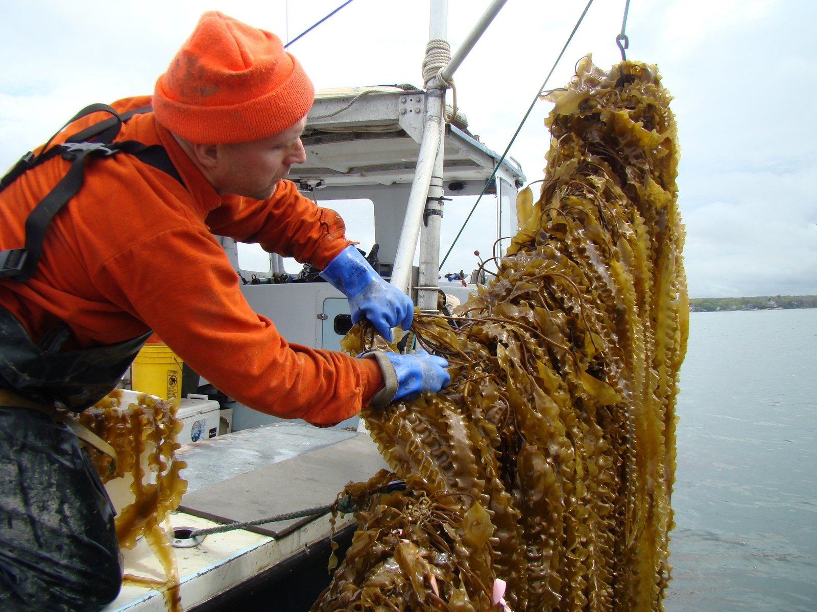 por qué puede marcar un antes y después en la economía
