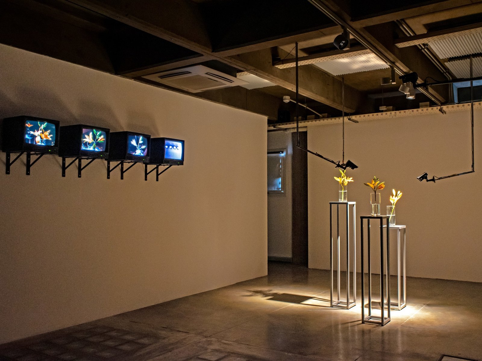 un territorio en el que confluyen arte, ciencia y tecnología