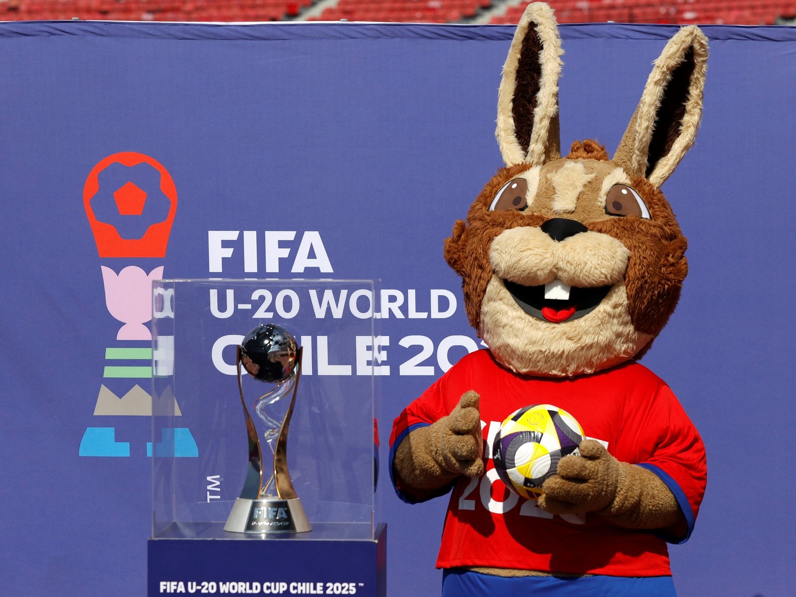 uno por uno, todos los campeones y subcampeones