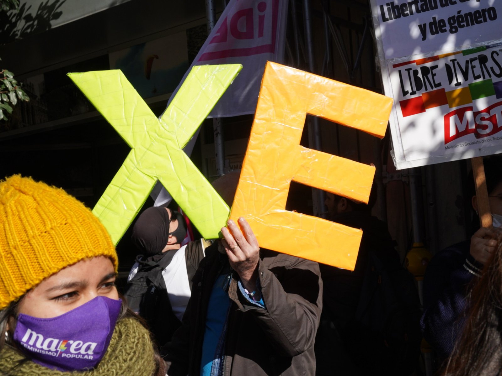 ¿Qué pasó con el lenguaje inclusivo? debate, prohibiciones y futuro en la educación y la política