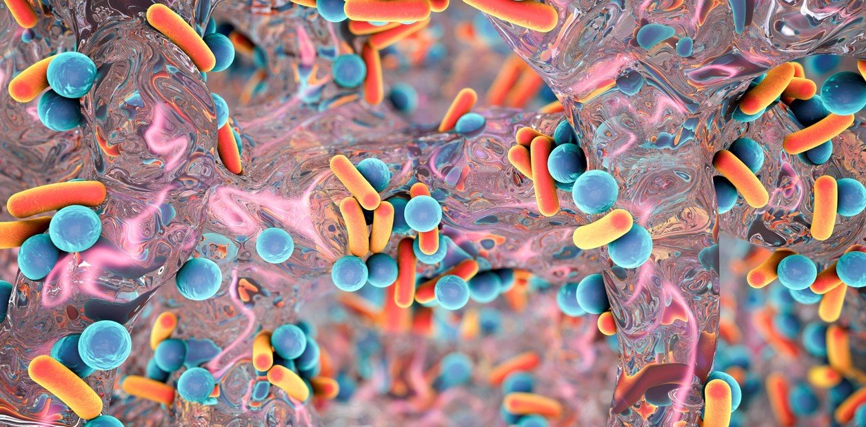 Crean en el país una innovadora plataforma para enfrentar una de las mayores amenazas de salud mundial