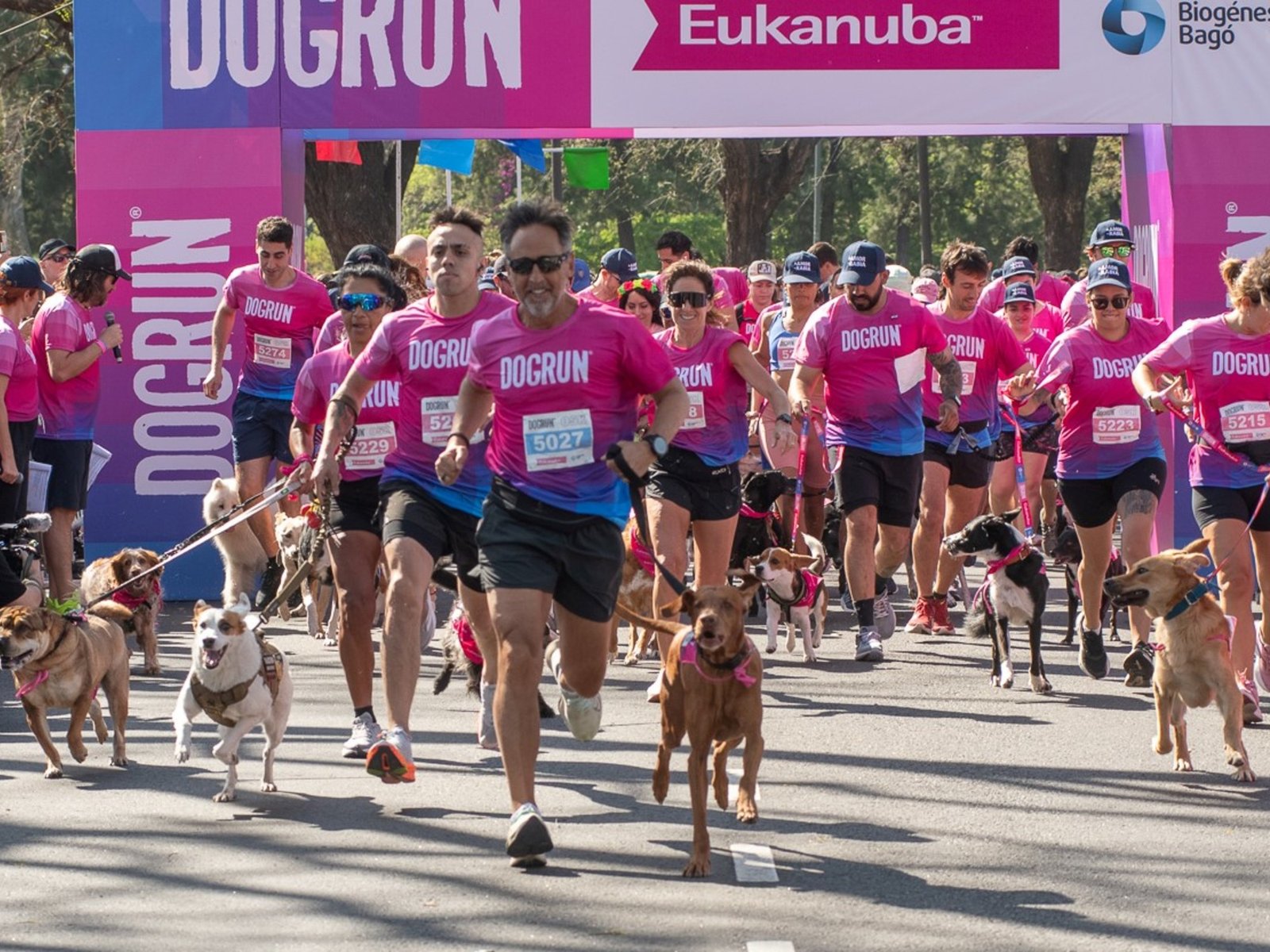 Este domingo, una carrera para runners y perros