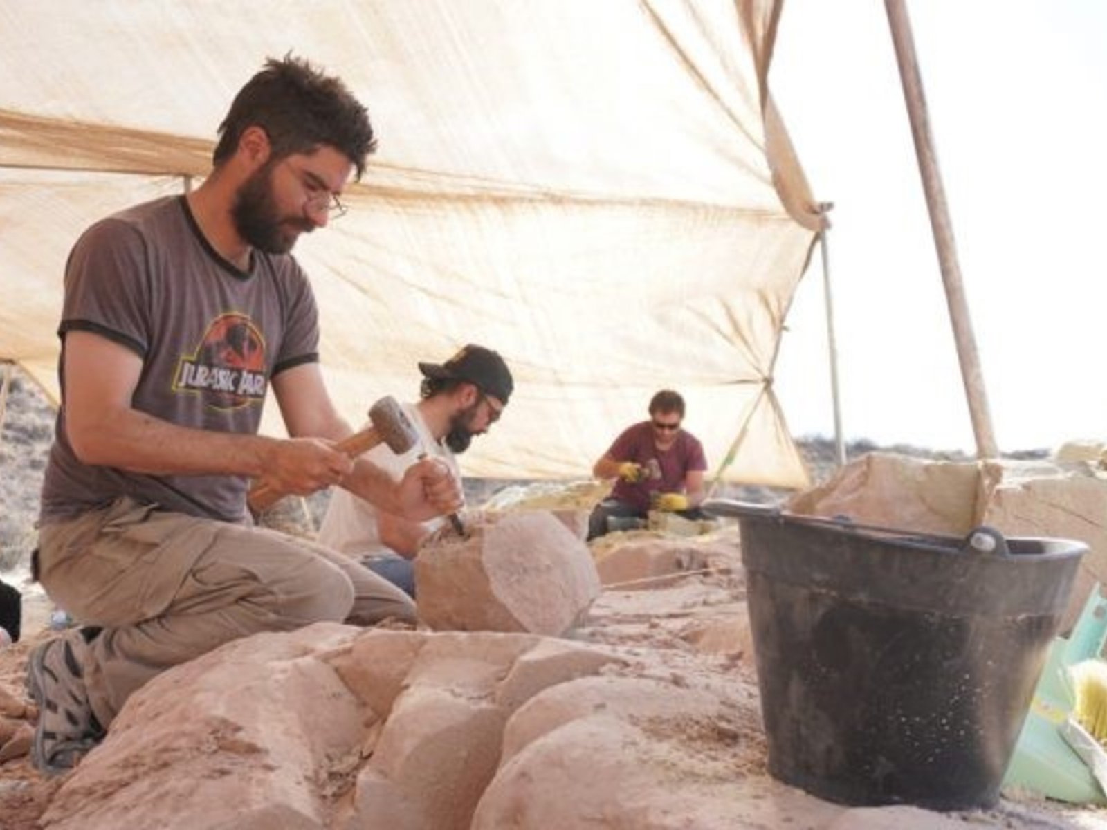 ahora buscan restos de dinosaurios en la Patagonia