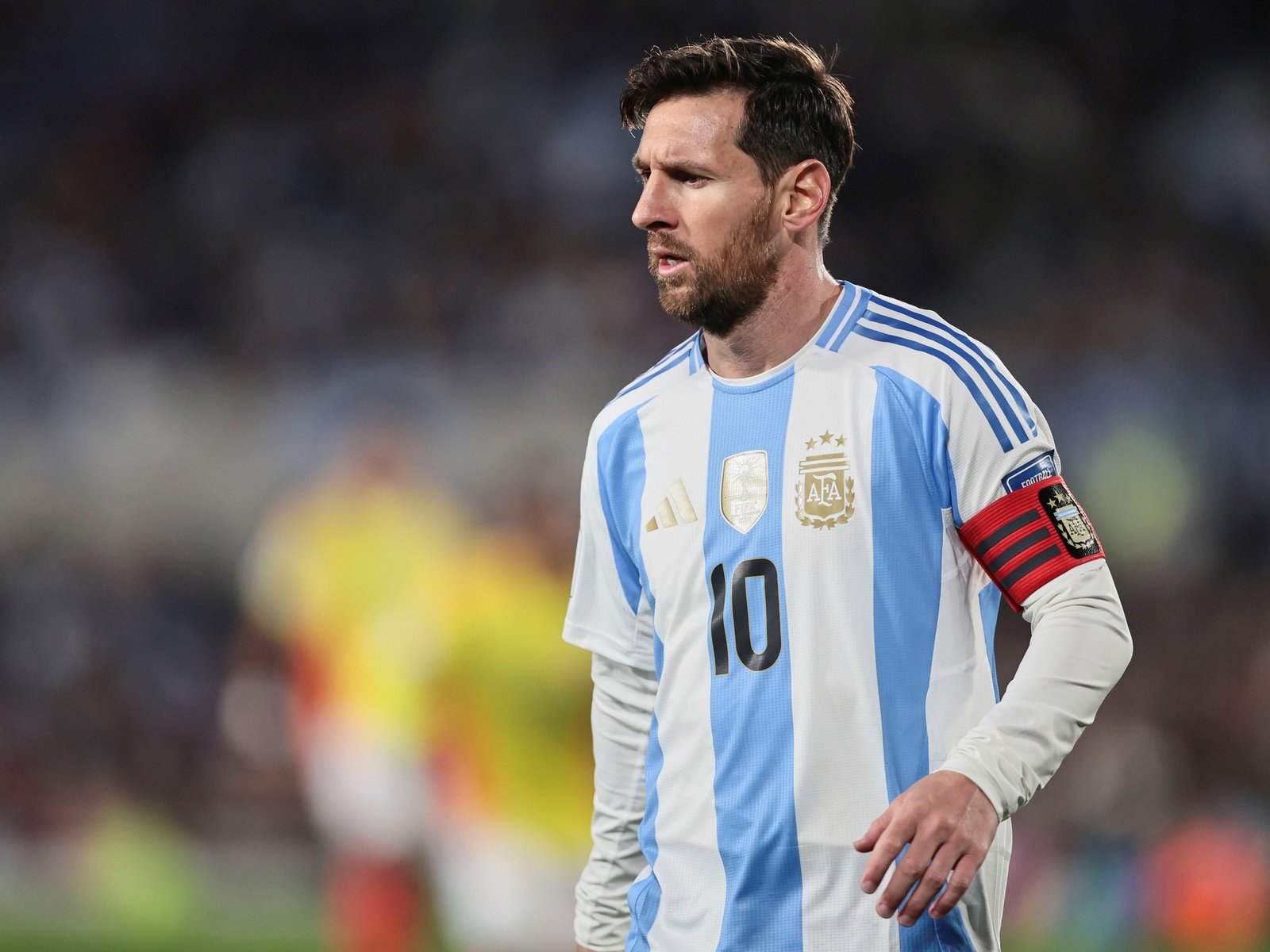 cuándo se empezaría a vender