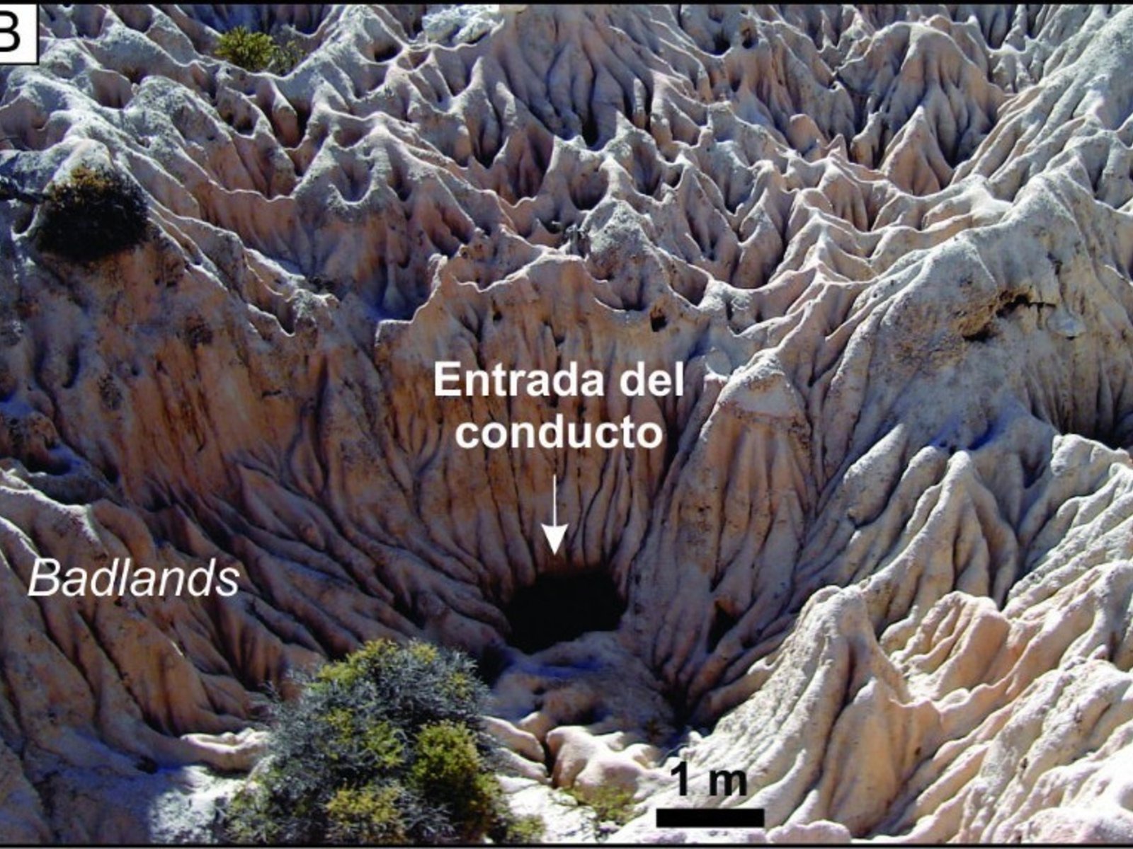 el lugar donde te puede tragar la tierra