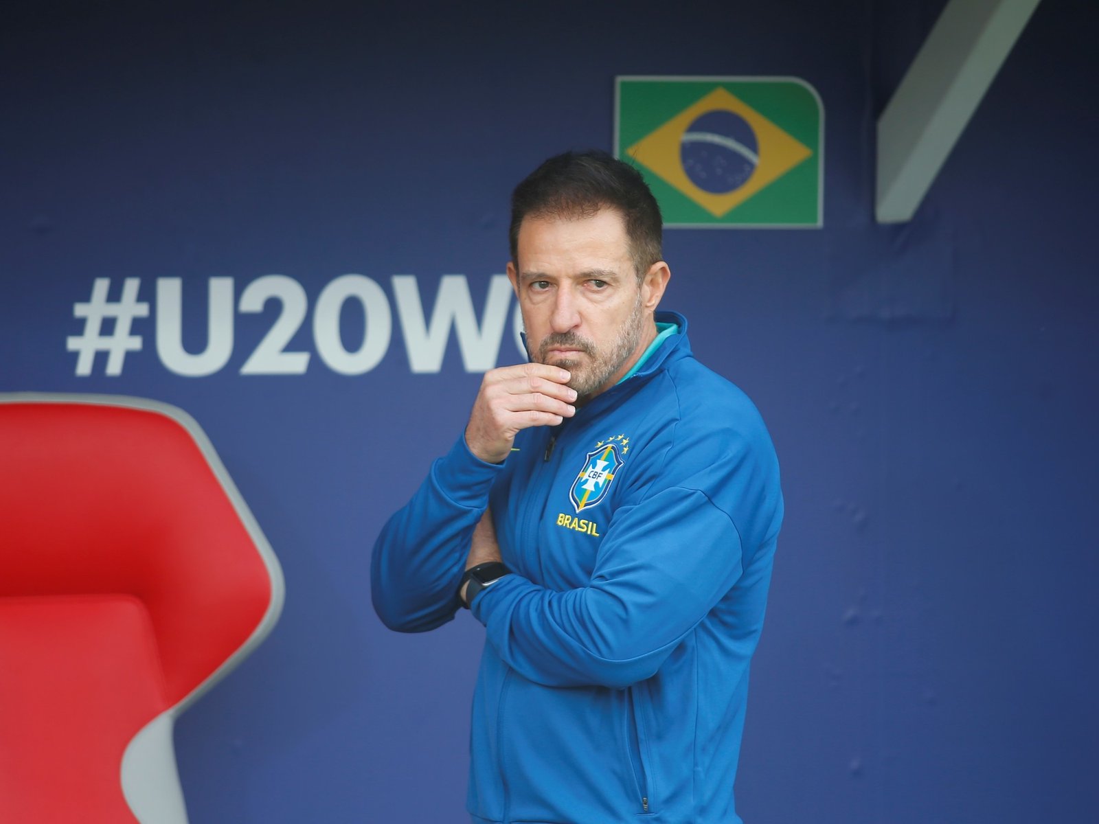 por qué en el país vecino otra vez se habla de “la maldición del gato”