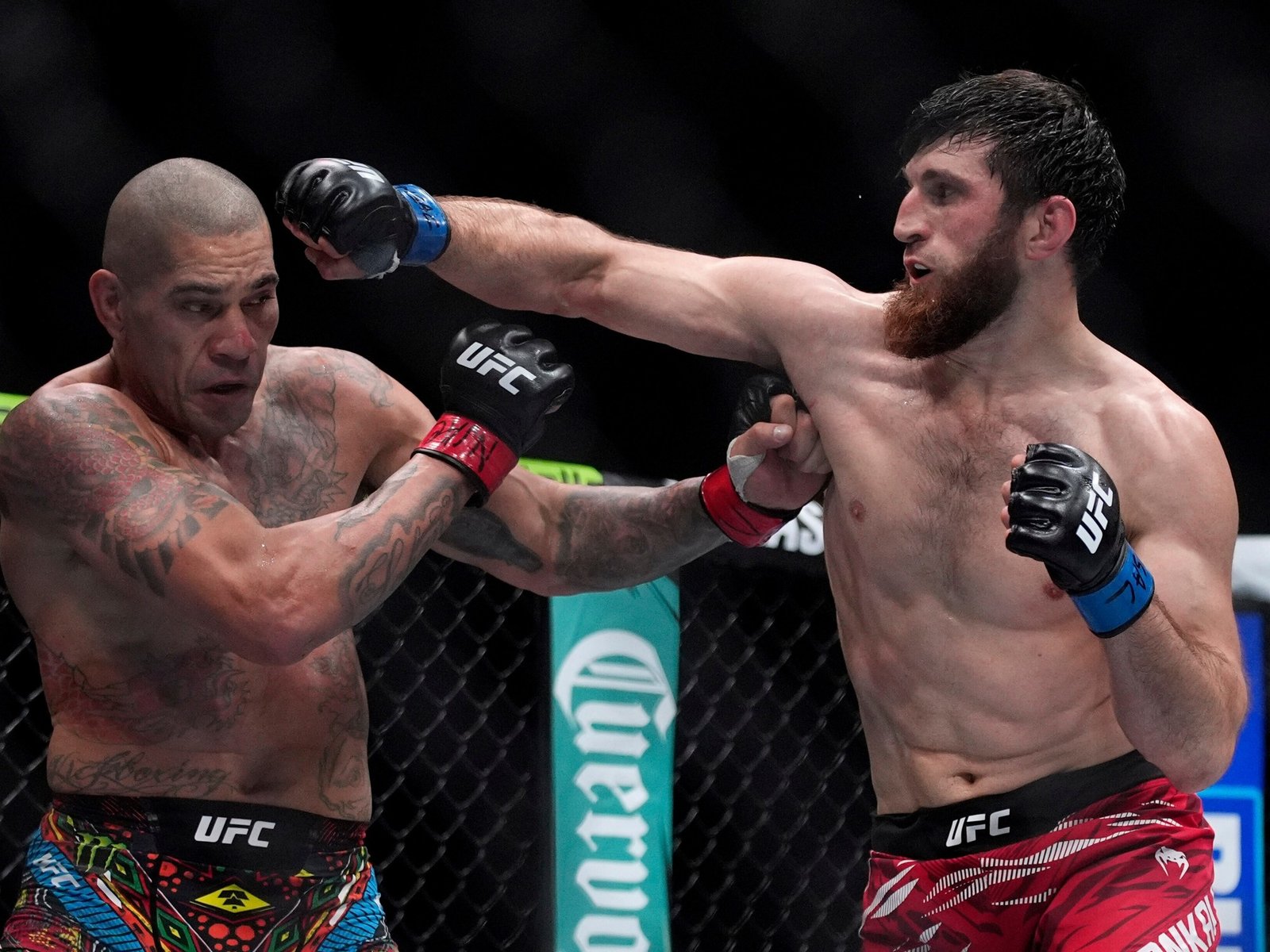 quiénes luchan este fin de semana, a qué hora, cómo y dónde ver las peleas