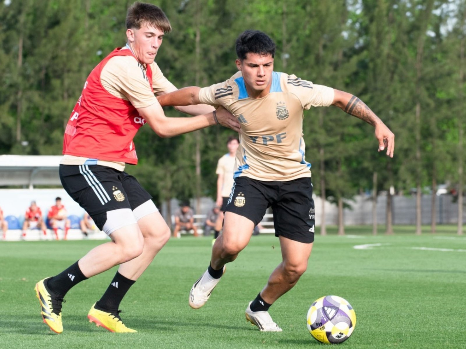 Cuándo juega la Selección Argentina Sub 17 vs. Bélgica por el Mundial de Qatar 2025: cómo verlo en vivo