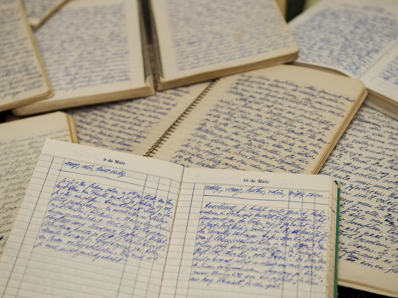 Una subasta de objetos del Holocausto fue suspendida después de varias protestas