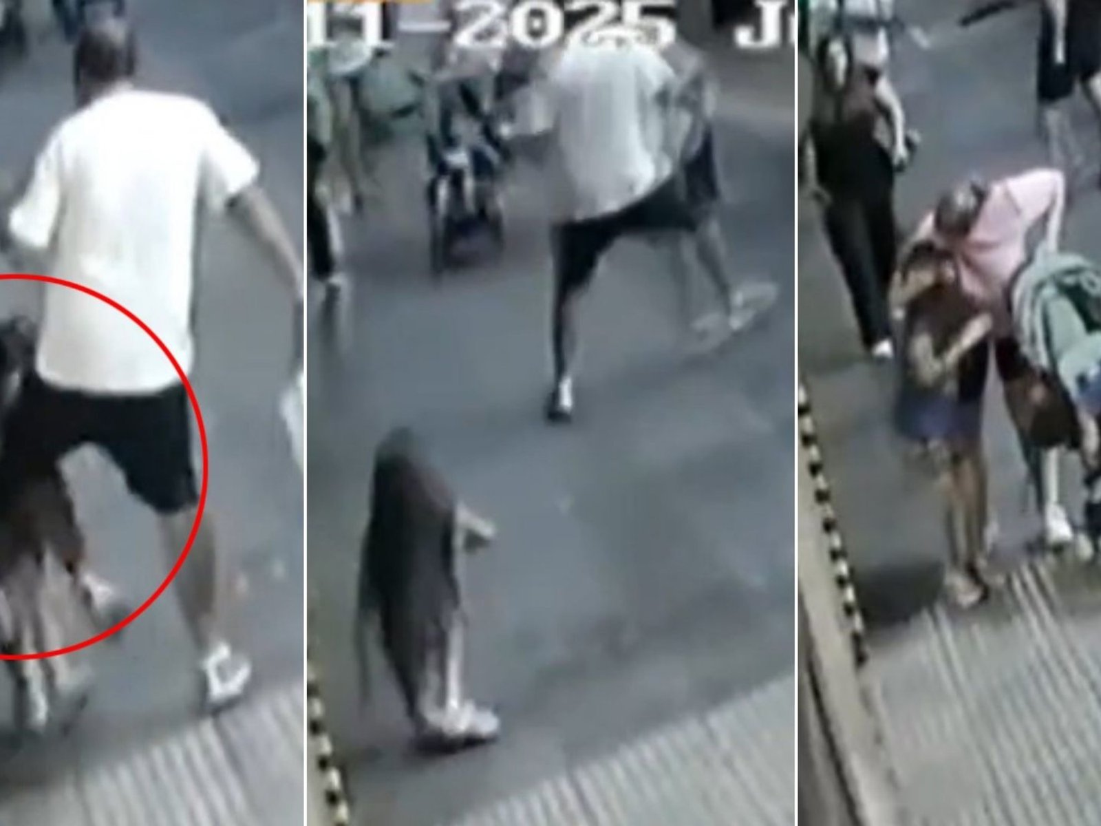 dice que el agresor ya atacó a otros vecinos