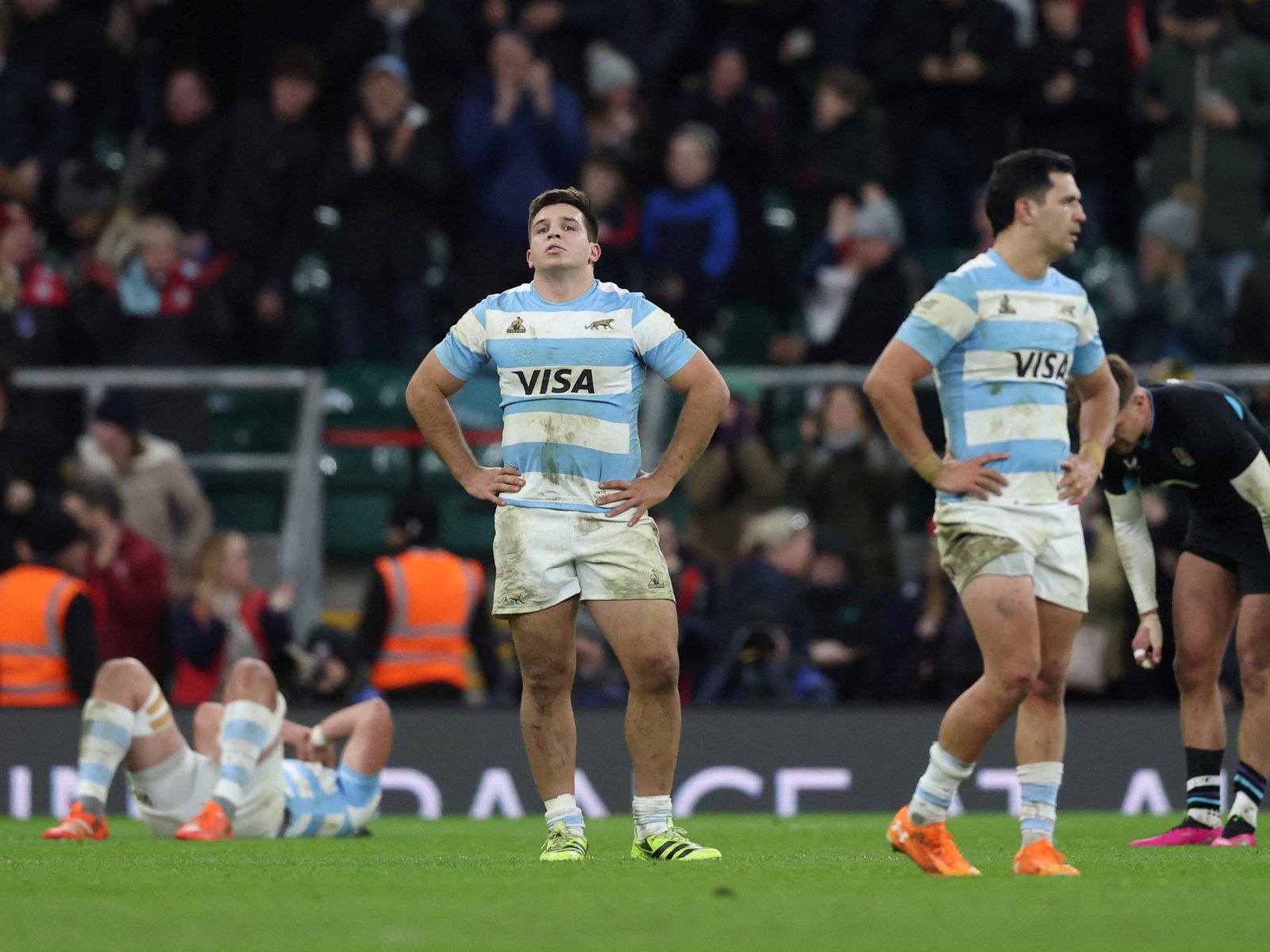 la World Rugby anunció el equipo ideal de la temporada 2025 y no incluyó a ningún jugador argentino