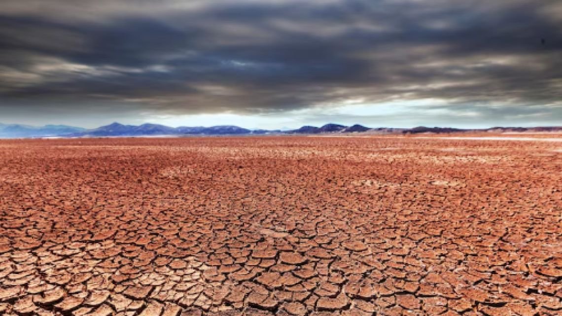 “Biomímesis” es la clave para diseñar un futuro sostenible