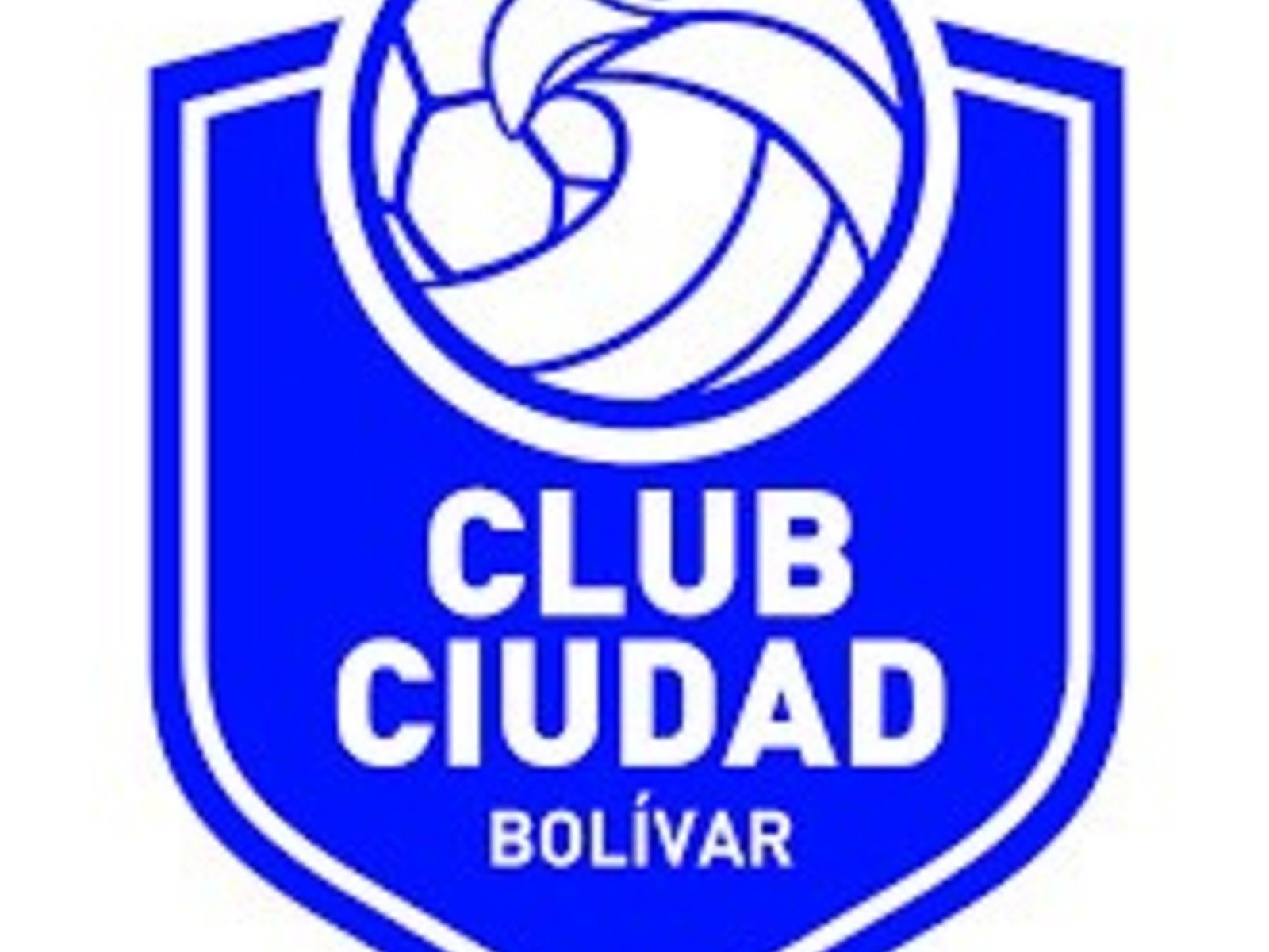 De potencia del vóley a ser protagonista del Ascenso: Ciudad de Bolívar hizo historia, subió a la PN y volverá a cruzarse con River :: Olé