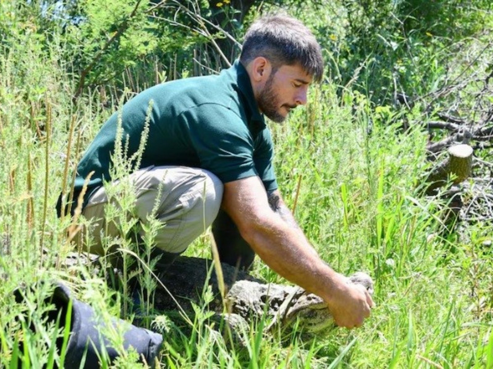 Liberaron en Santa Fe a “Ricardito”, el yacaré overo que pasó 10 años encerrado en una pileta de la Ciudad