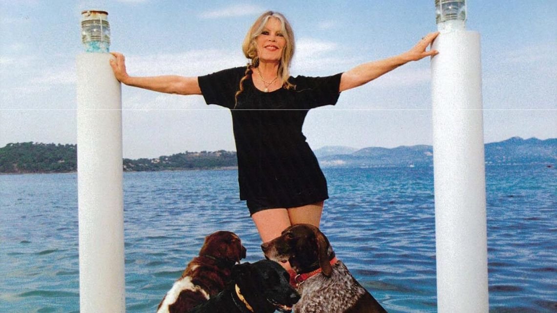 Los últimos años de Brigitte Bardot: dejó la “vida superficial” para dedicarse a los animales