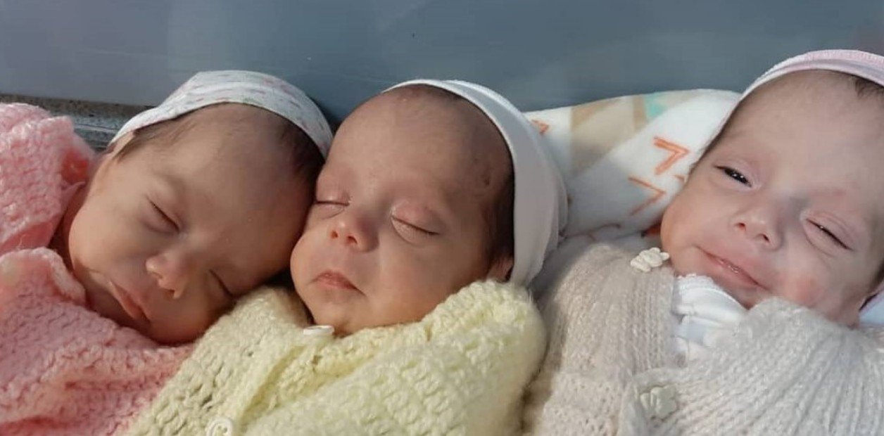 nacieron trigemelas genéticamente idénticas en Chubut