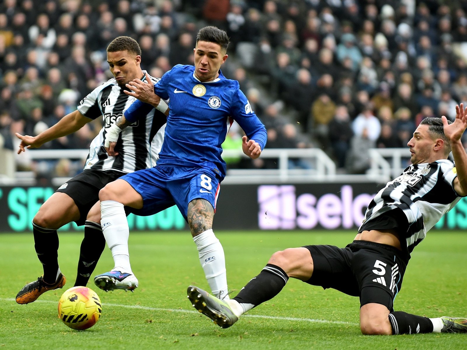 tras el ingreso de Enzo Fernández, Chelsea levantó un 0-2 y se llevó un punto ante Newcastle
