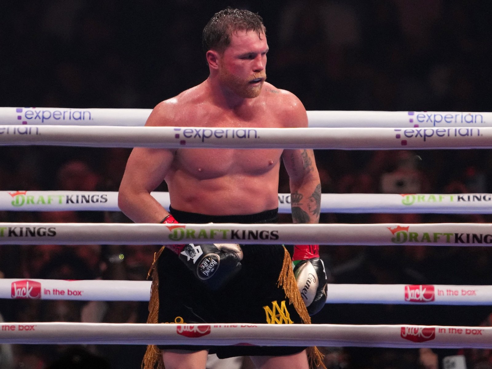 Canelo Álvarez confirmó fecha para su regreso al ring tras perder sus títulos y operarse del codo: el posible rival