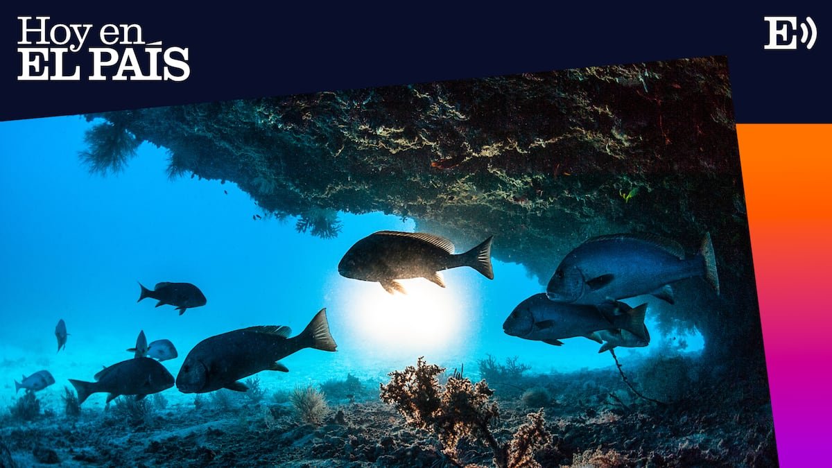 China y las potencias medias se han unido para proteger las aguas internacionales de la contrarreforma ambiental de Trump: ¿Está naciendo una nueva diplomacia verde sin Washington? | Hoy en EL PAÍS: tu podcast diario