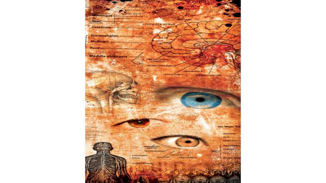 Del caos a la realidad