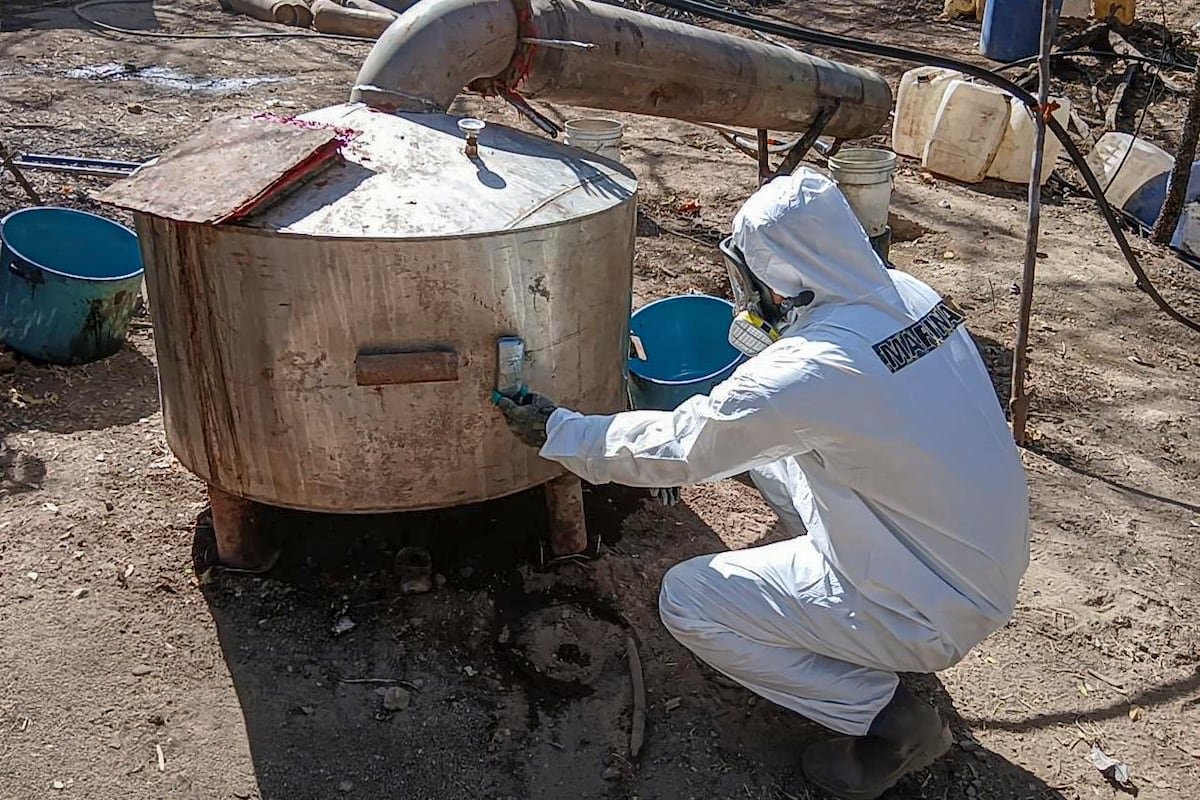 El Gobierno intensifica el decomiso de drogas sintéticas con golpes en Sinaloa, Sonora y Guerrero