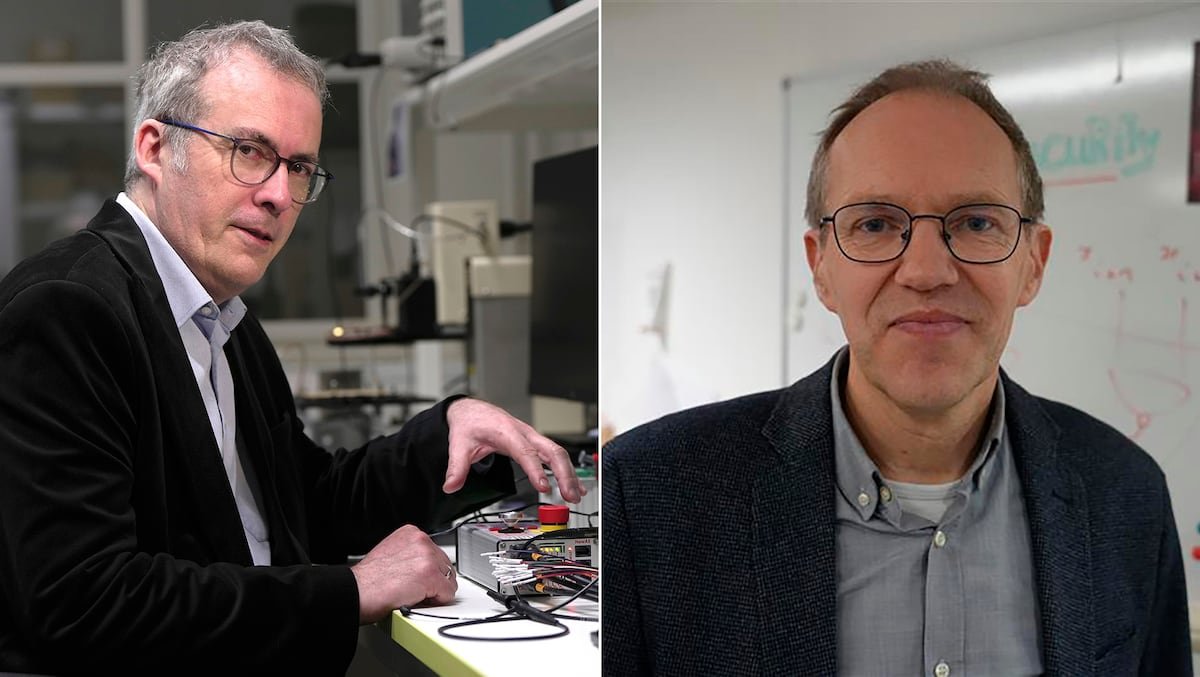 El premio Fronteras reconoce a los artífices del sistema que protege la seguridad y la privacidad en internet | Tecnología