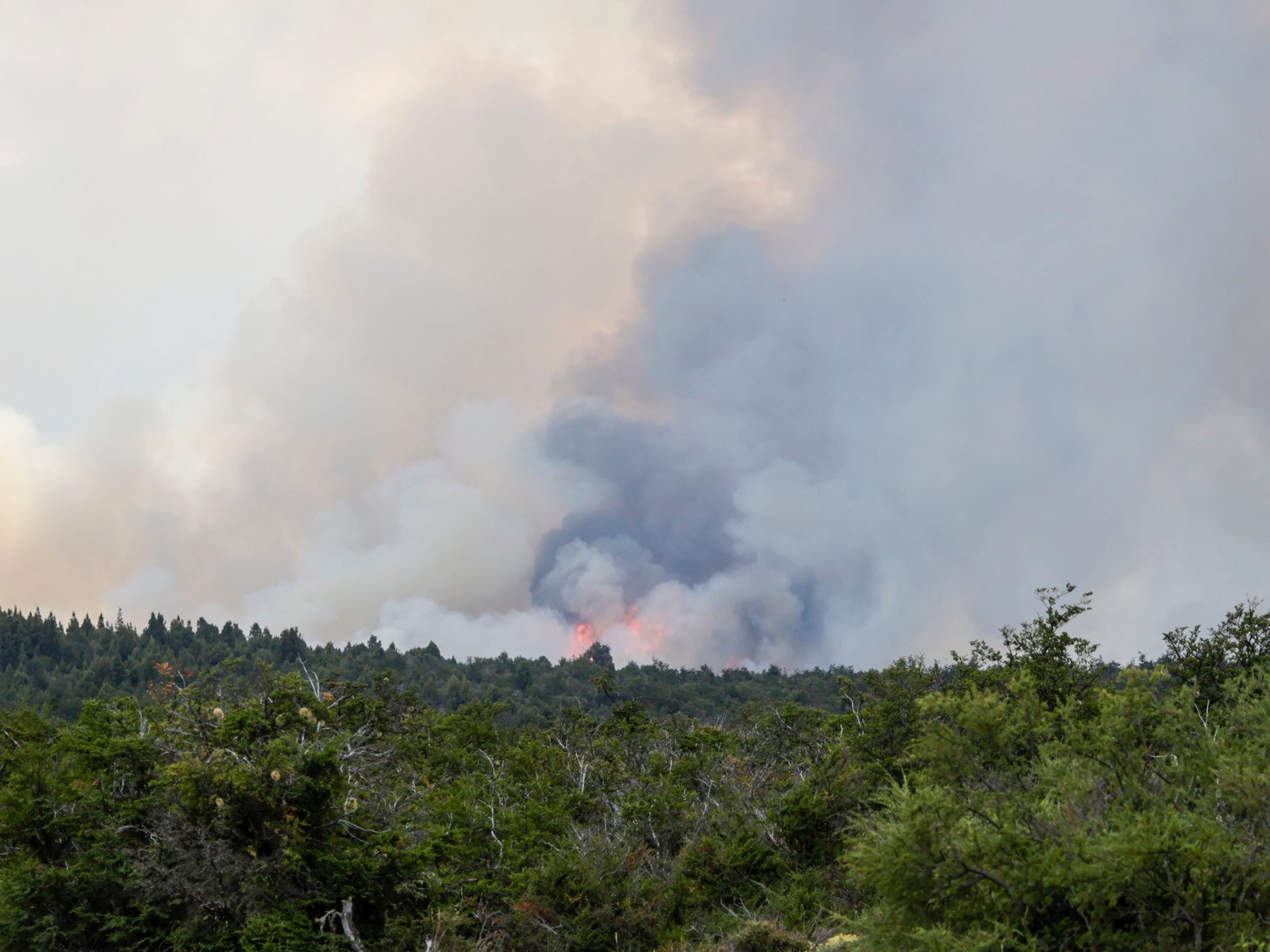 El pueblo que quedó entre dos incendios en Chubut y la desesperación porque nadie puede parar el fuego