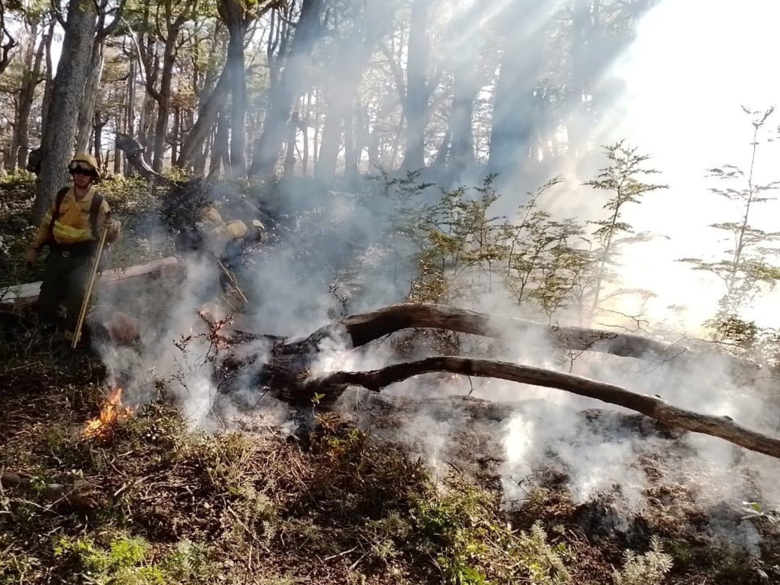 “Estamos atravesando la peor sequía desde 1965”
