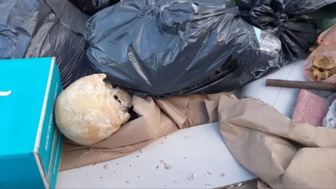 Hallaron un cráneo humano dentro de un volquete en Playa Grande