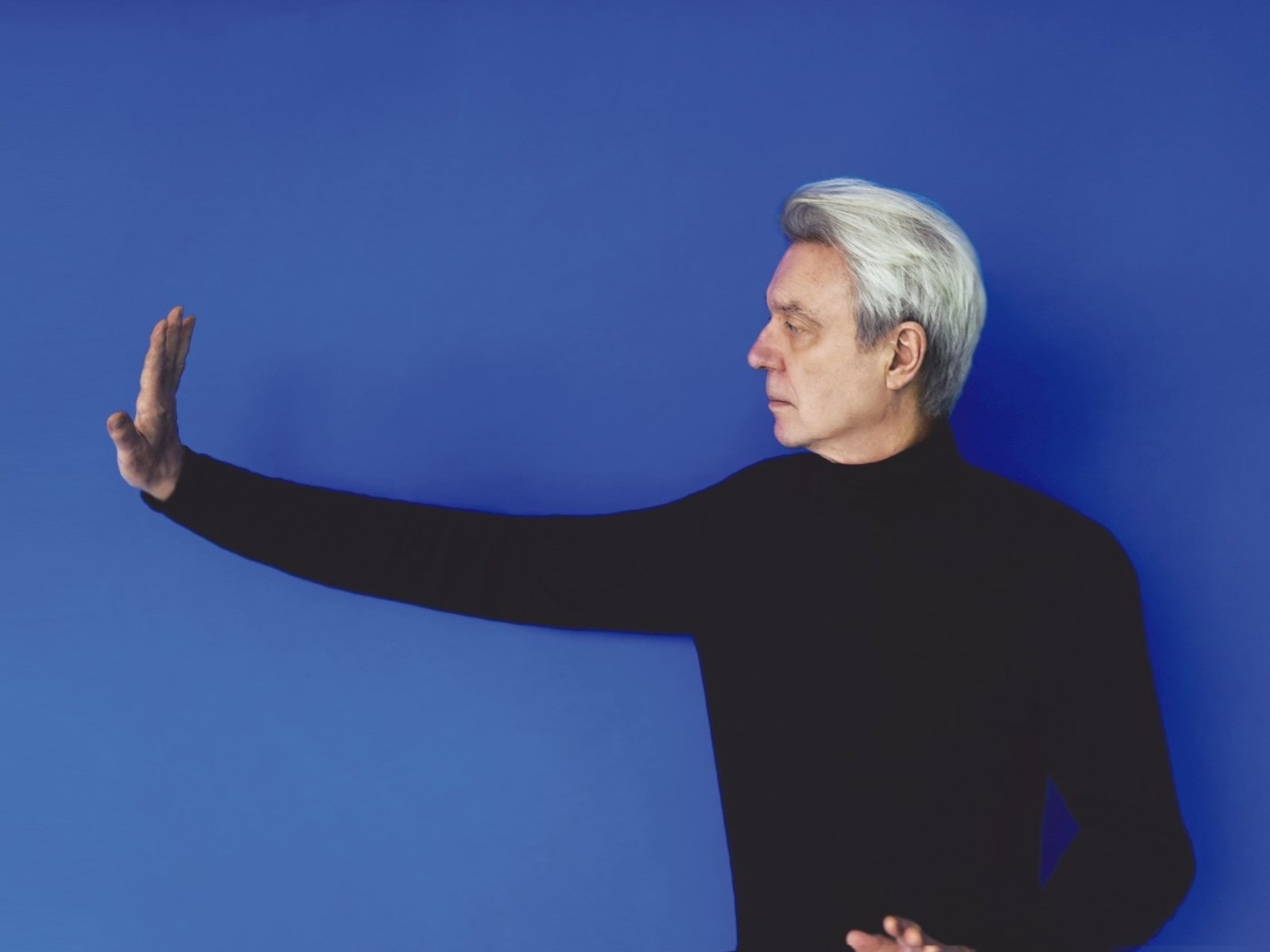 “La experiencia de un show en vivo es irremplazable”