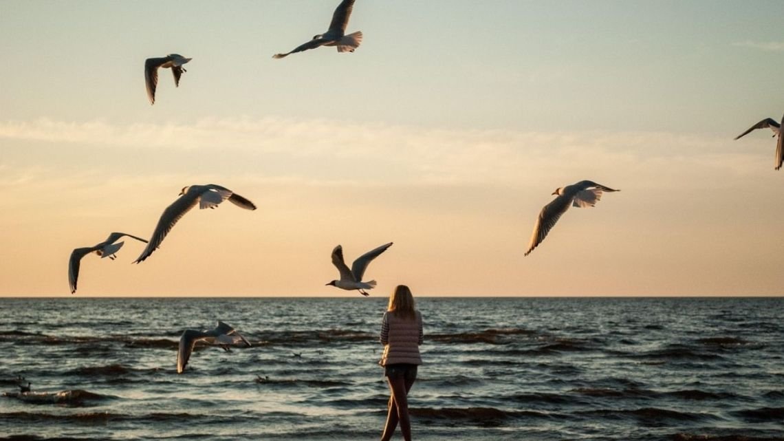 La humanidad delegada | Perfil