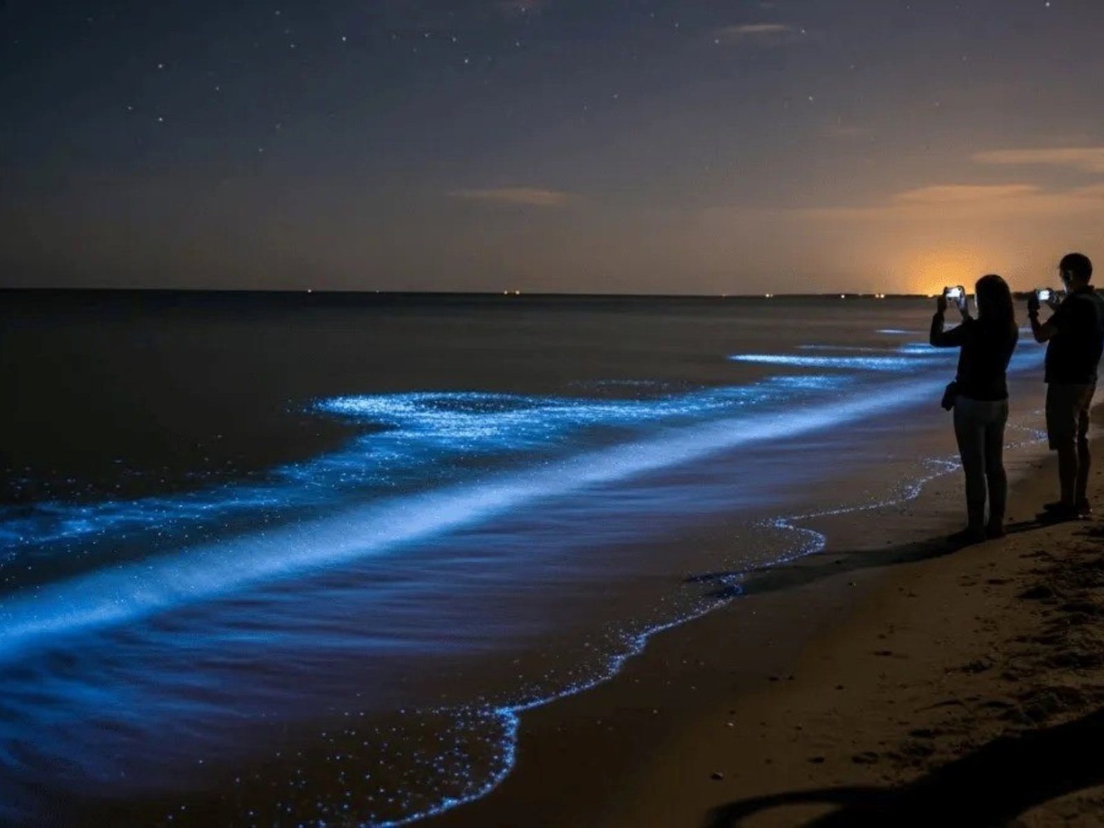 Por qué el mar en Punta del Este tiene este enero un color extraño de día y un brillo especial por la noche
