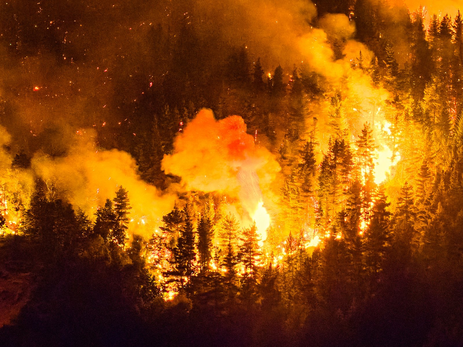 apuntó a grupos violentos que usan “falsas banderas originarias”