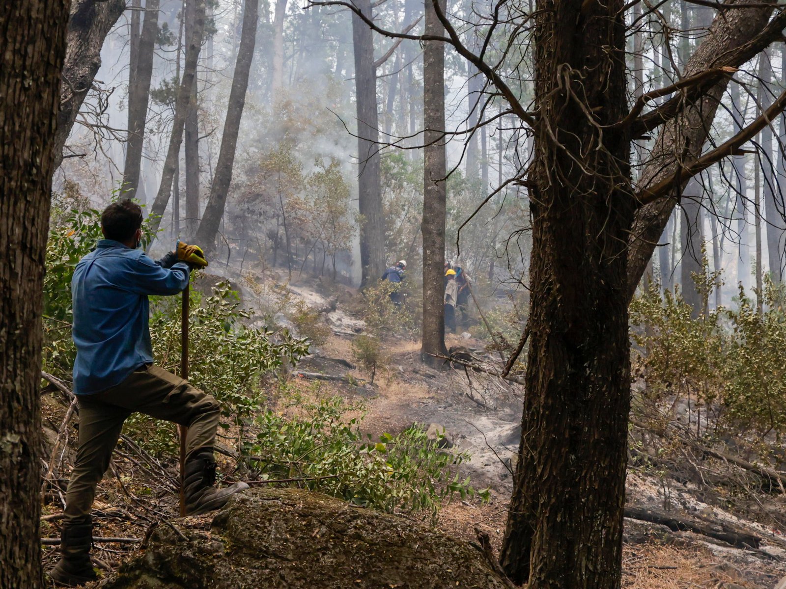 el fiscal desmiente al Gobierno y dice que “está totalmente descartado” que hayan sido provocados por grupos mapuches