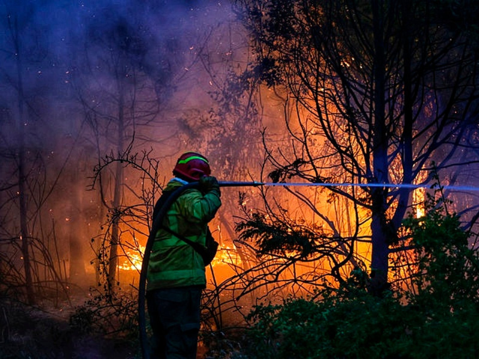 el incendio forestal ya arrasó con casi 12 mil hectáreas en El Hoyo y sigue activo