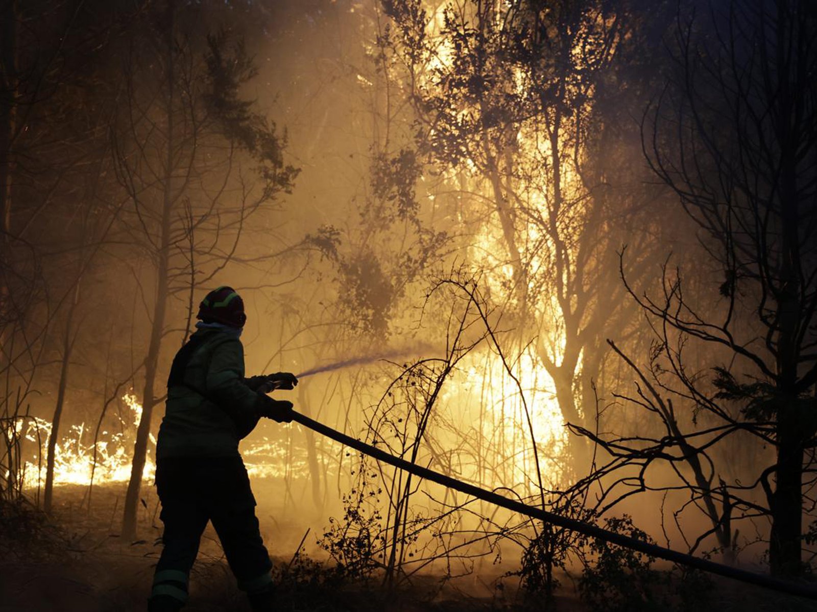 el testimonio clave de un testigo y el desalentador pronóstico para el fin de semana