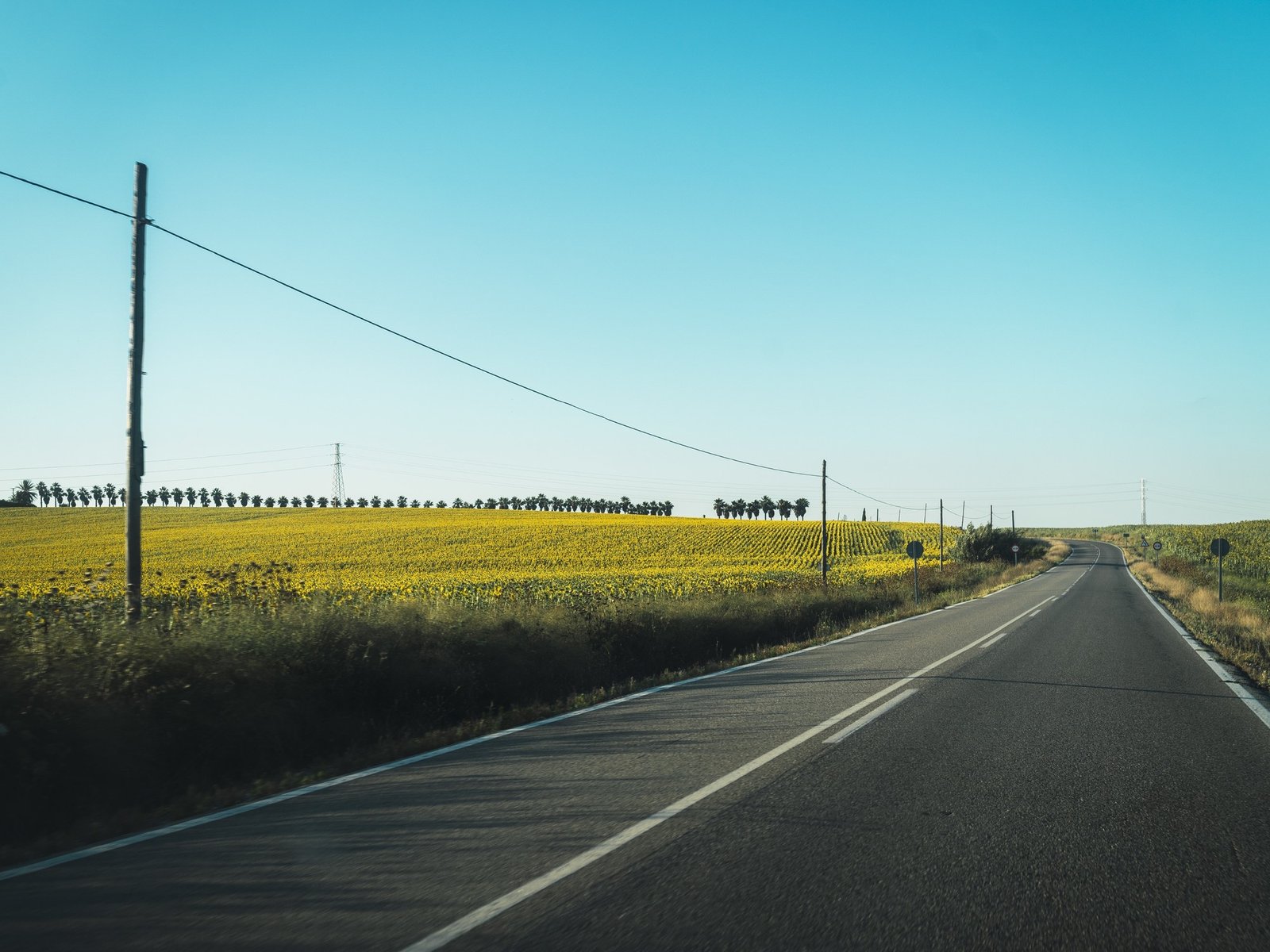 la odisea del “náufrago” de la ruta 8
