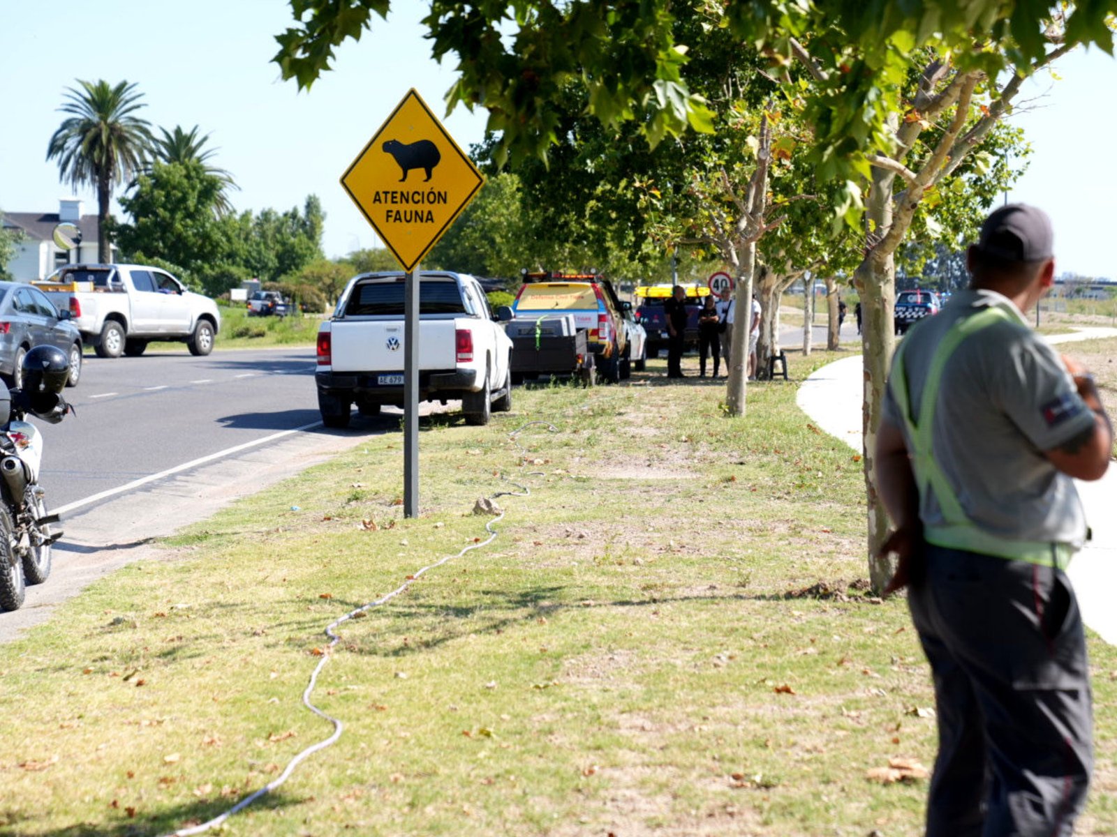 una ONG de vecinos se opone y reclaman “convivir” con los animales