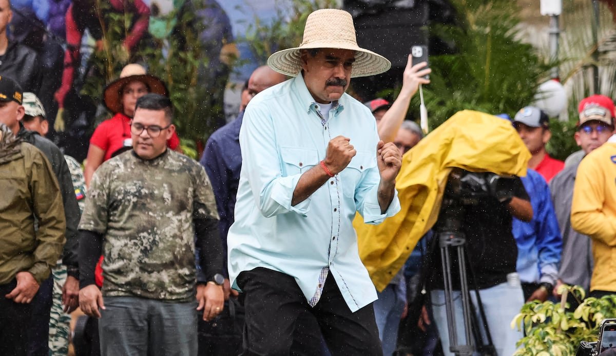 ¿Quién puede detener al tiburón?