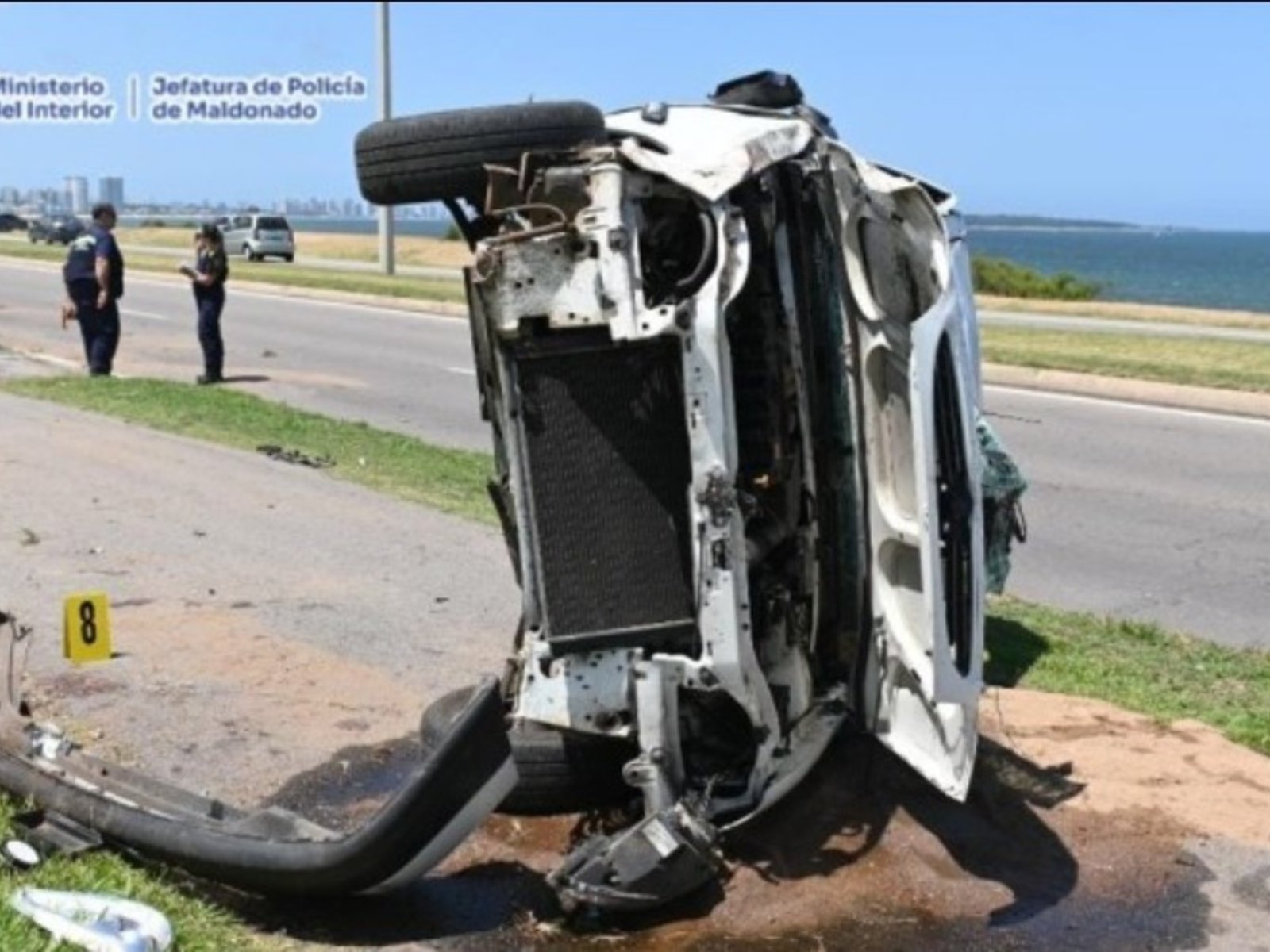 Así fue el accidente en el que murió Juan Moyano, el histórico médico de Los Pumas